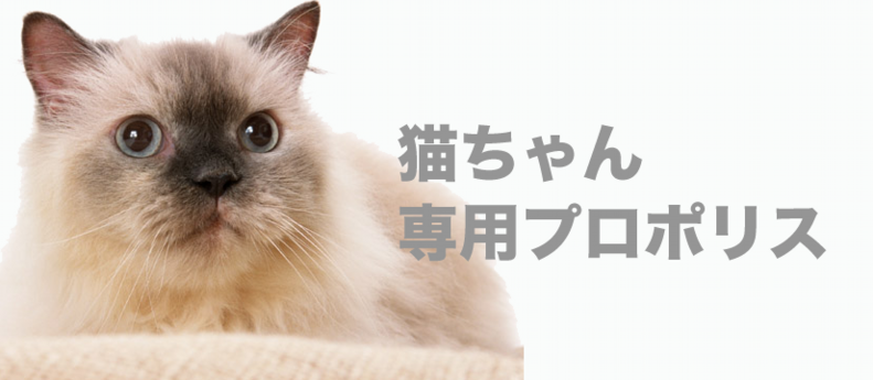 main_CAT.psd