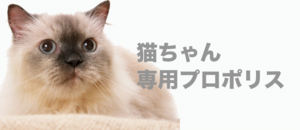 main_CAT.psd
