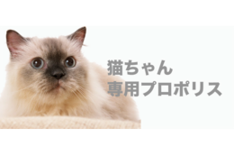 main_CAT.psd
